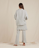 Pari Pant, Silver